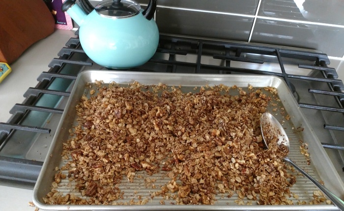 No Cereal in Cupboard? Granola from Scratch.. Plus- Our Tomato seeds have finally sprouted!